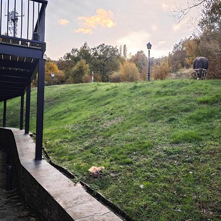 Villa R'Arco - Tucasaenlospirineos Escarrilla Bagian luar foto